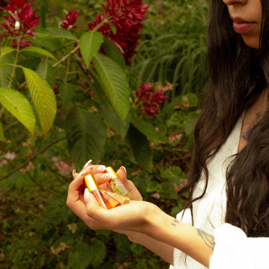 Conjunto de diosa: cacao, rosa blanca, miel y ámbar.
