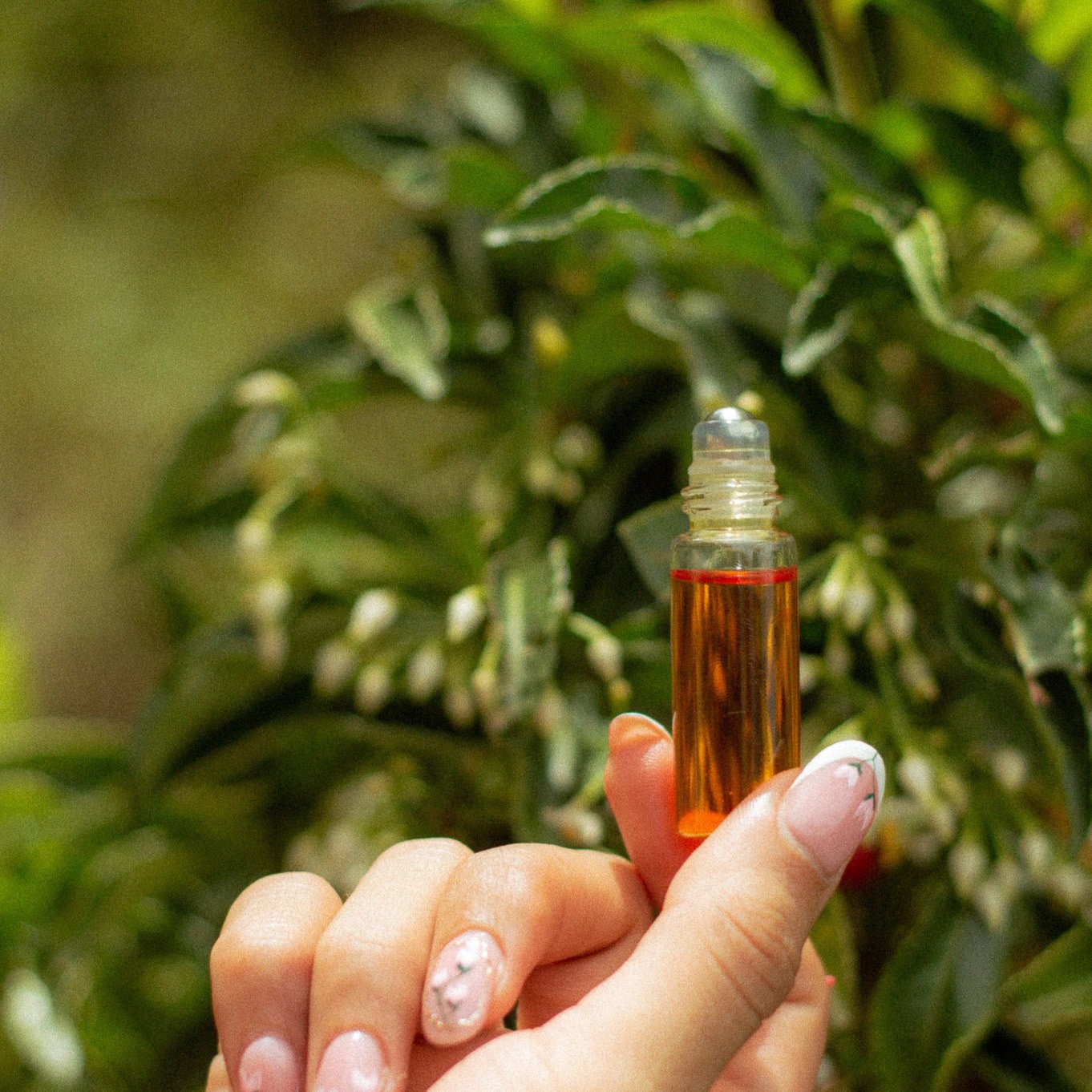 amber essential oil - energy and grounding